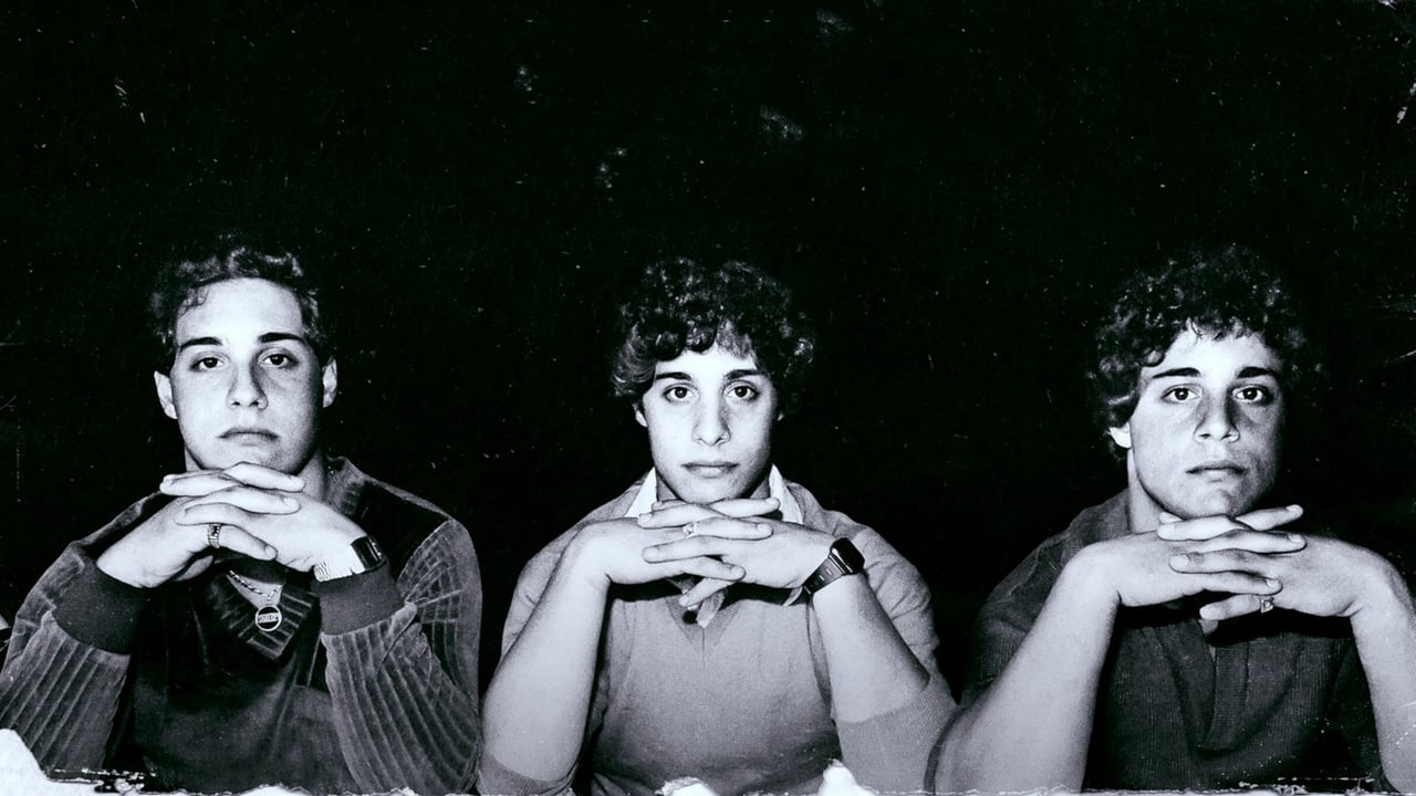 Three Identical Strangers