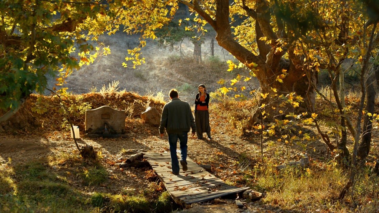 The Wild Pear Tree (Ahlat Agaci)