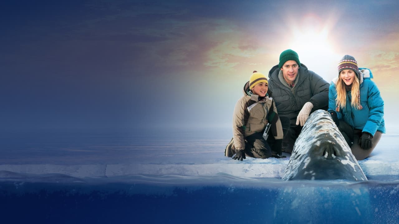 Big Miracle