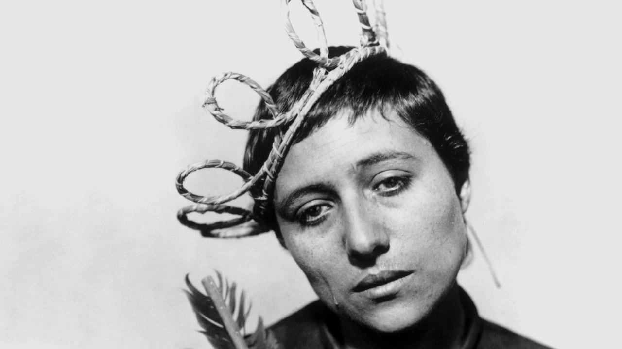 The Passion of Joan of Arc (La Passion de Jeanne d'Arc)