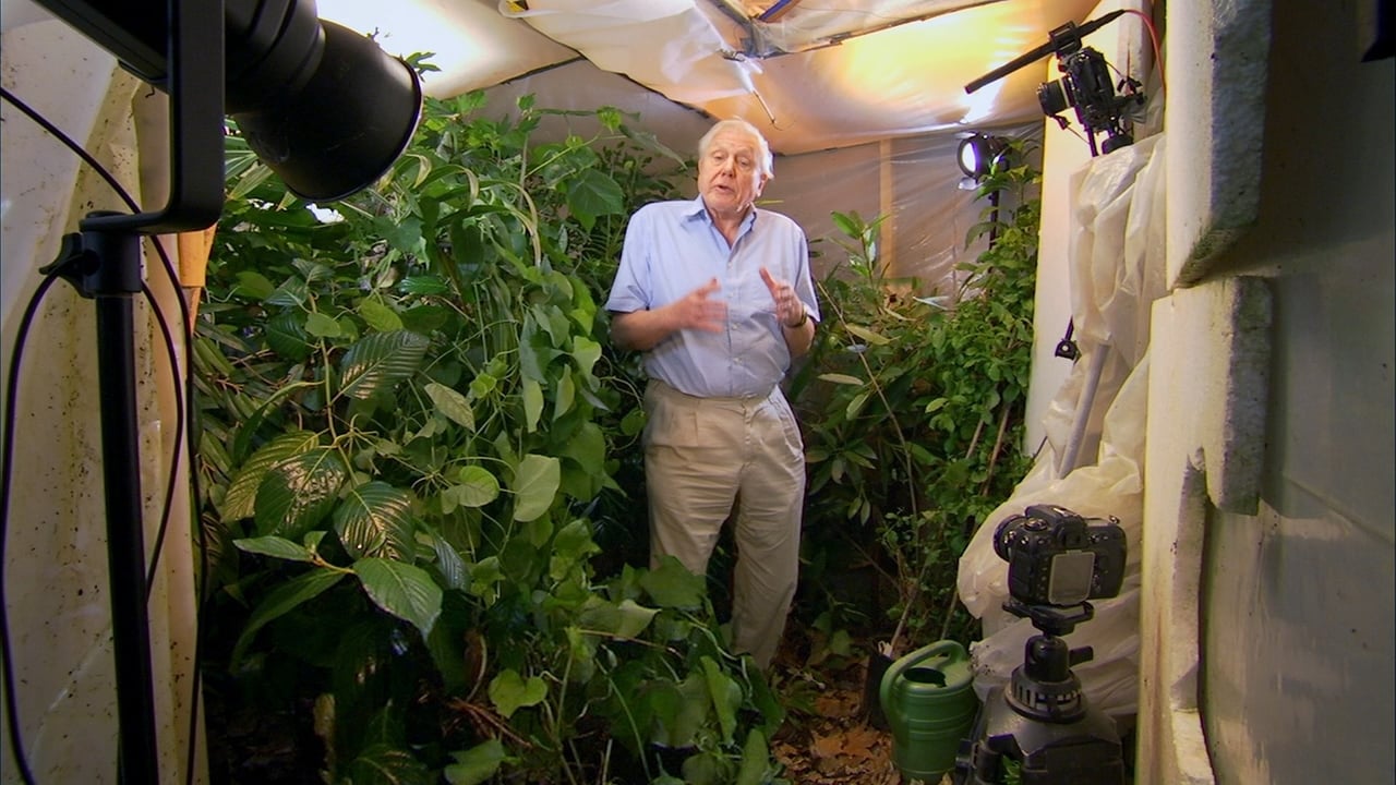 Attenborough 60 Years in the Wild