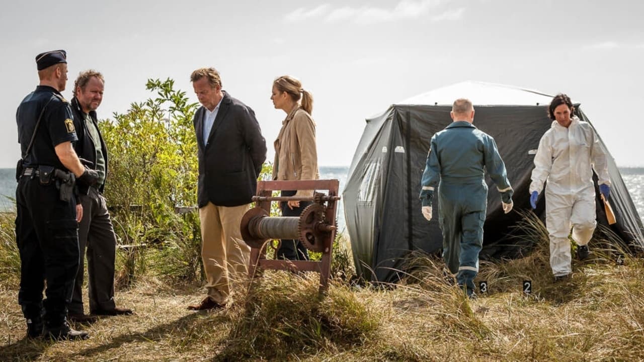 Wallander 29 - Sveket