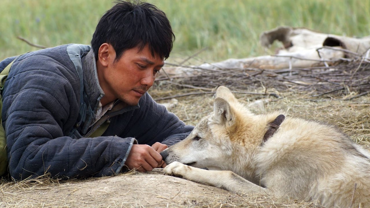 Wolf Totem (Le dernier loup)