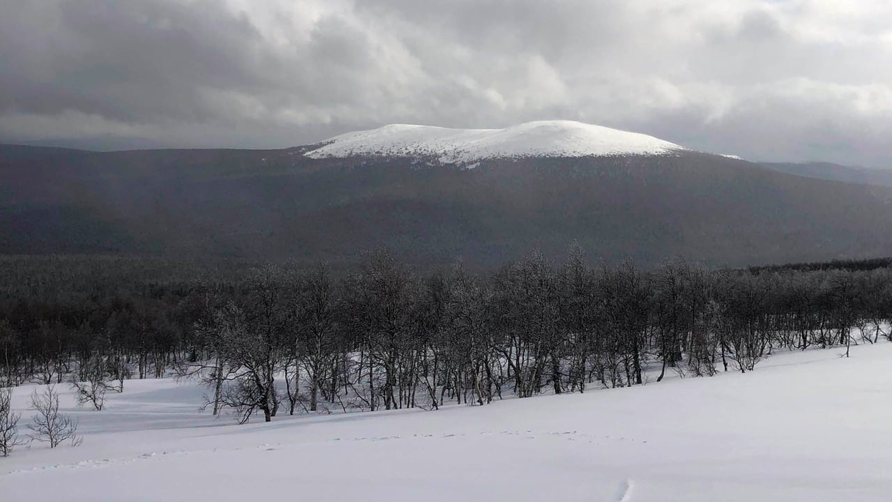 The Dyatlov Pass Incident (Devil's Pass)