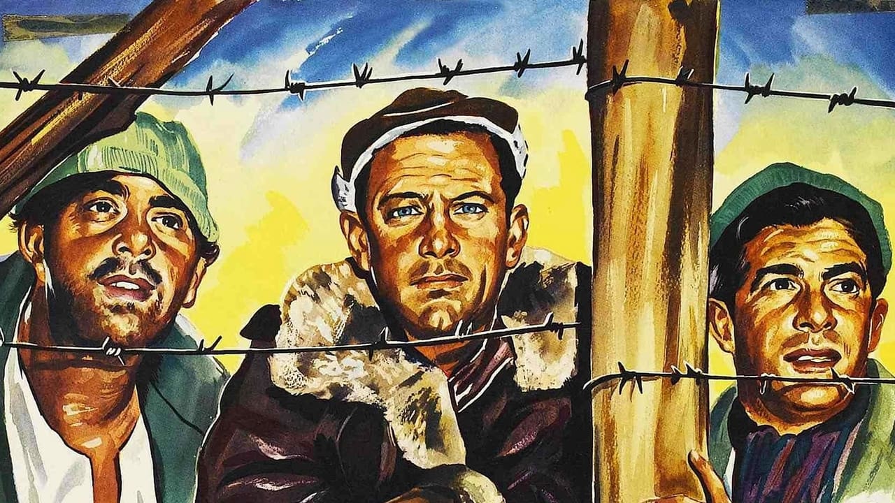 Stalag 17