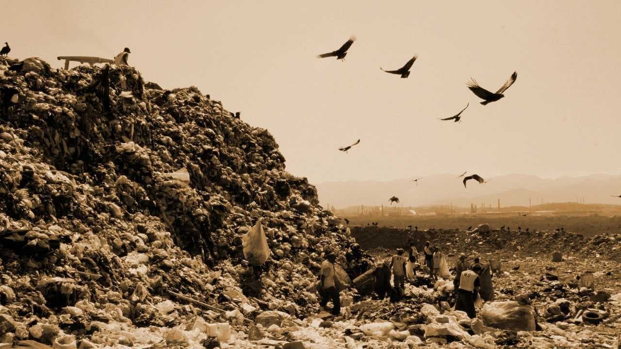 Waste Land (Lixo Extraordinário)