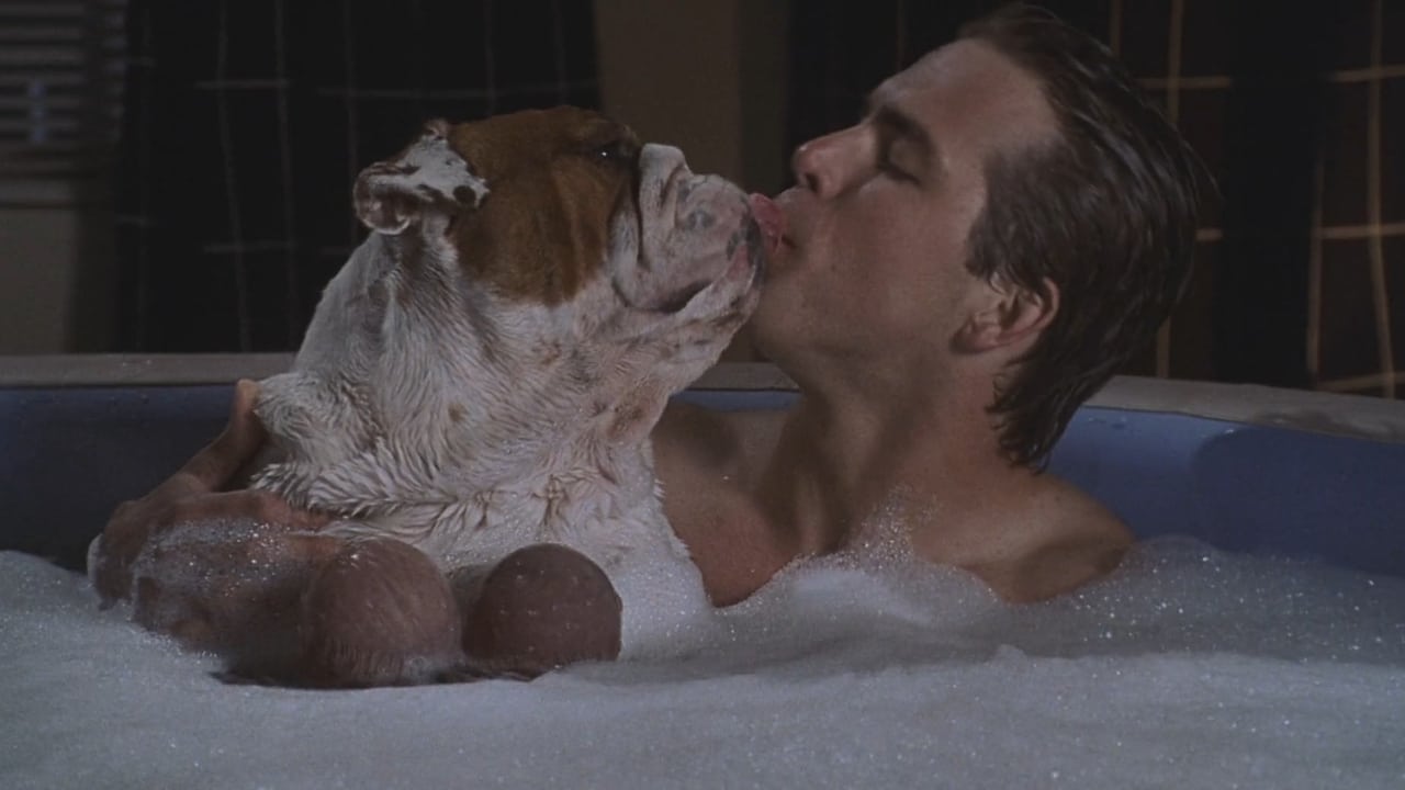 National Lampoon's Van Wilder