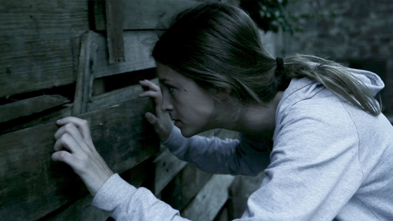 The Silent House (La casa muda)