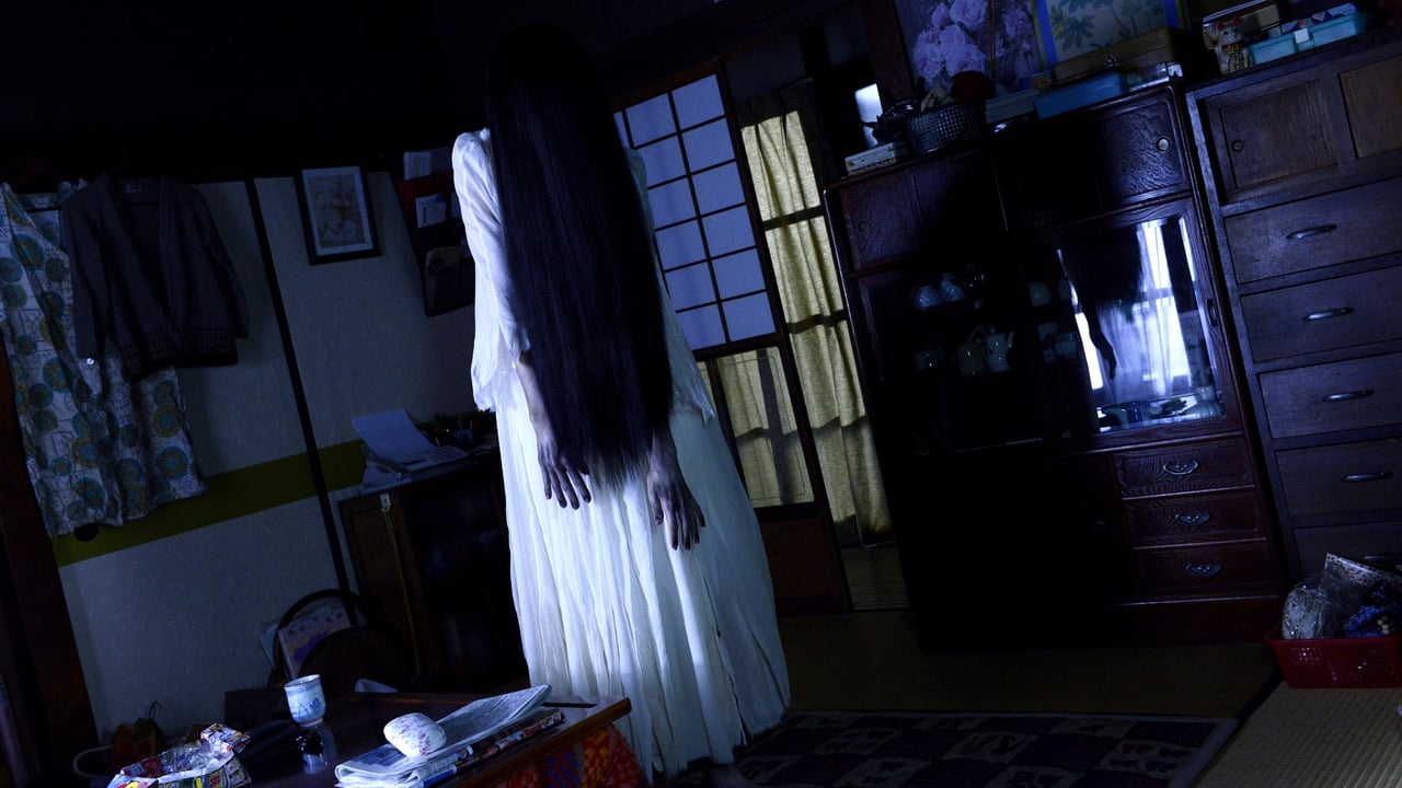 Sadako vs. Kayako (貞子vs伽椰子)