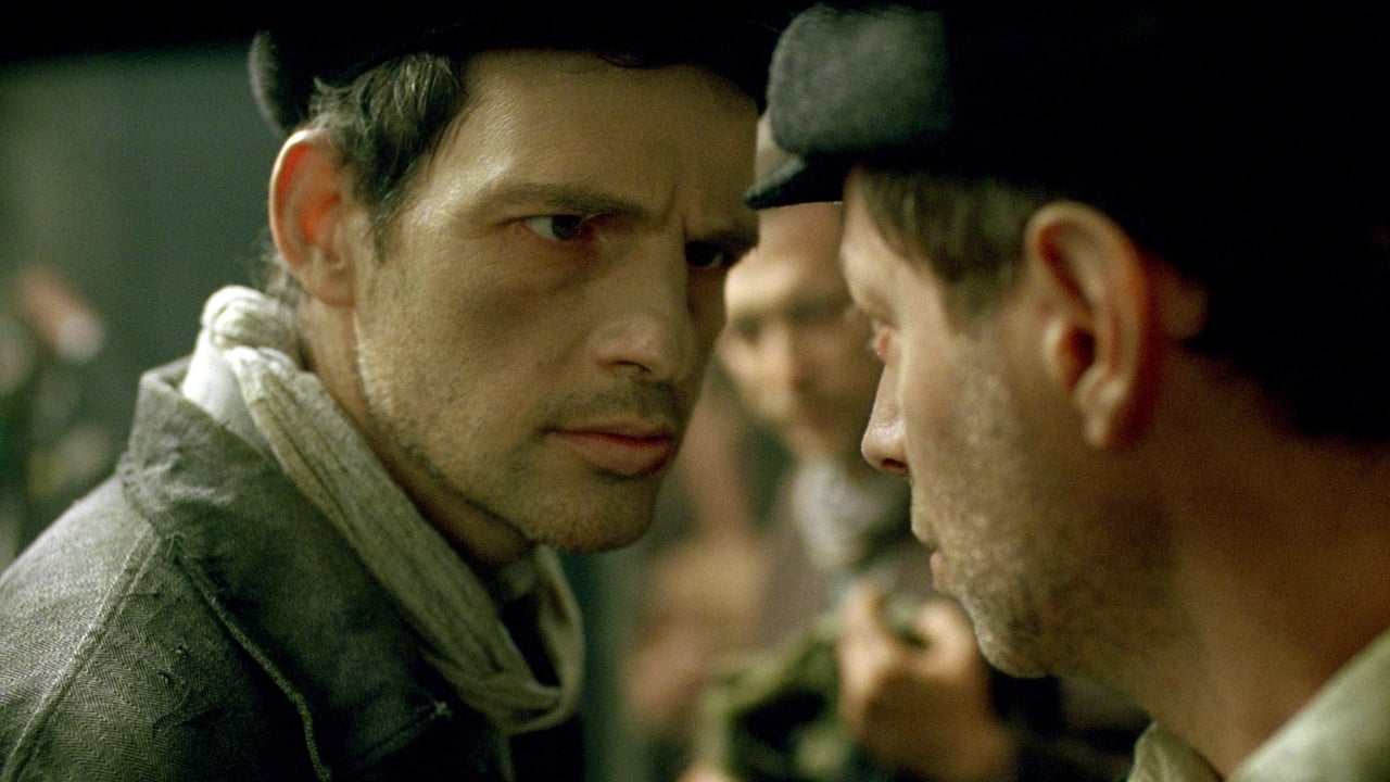 Son of Saul (Saul fia)