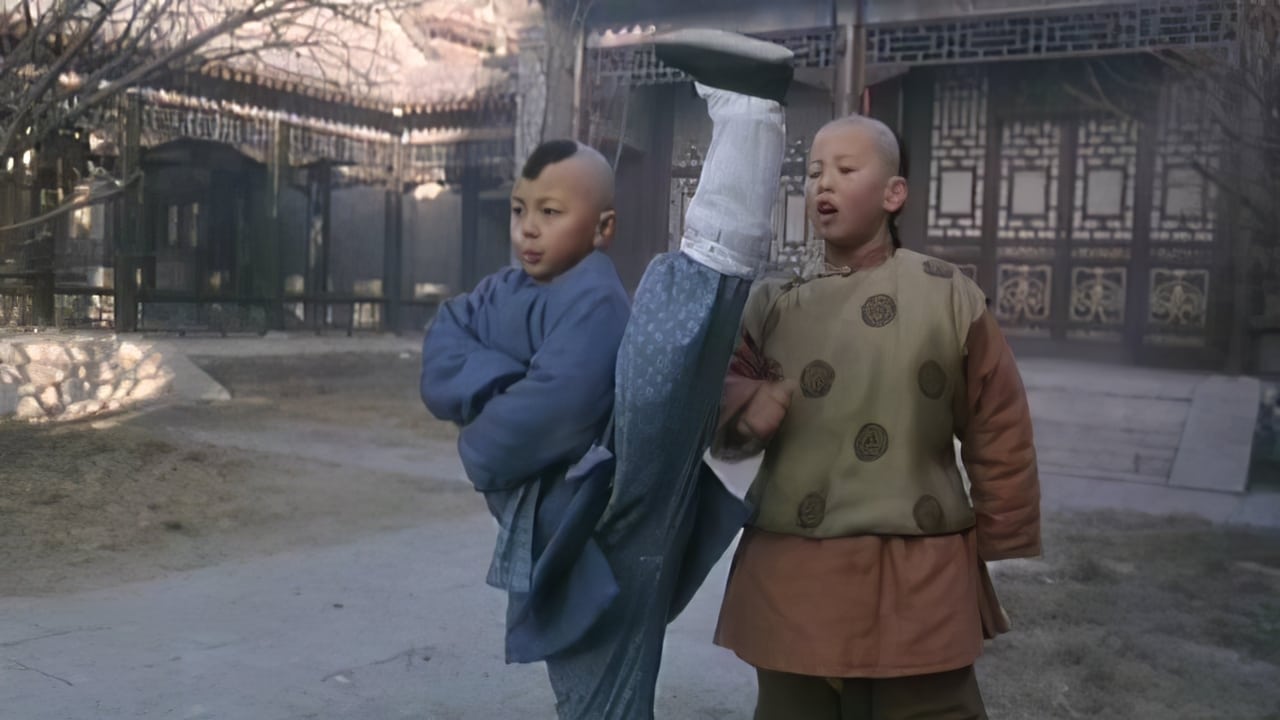 Legend of the Red Dragon (New legend of Shaolin / Hong Xi Guan: Zhi Shao Lin wu zu / 新少林五祖)