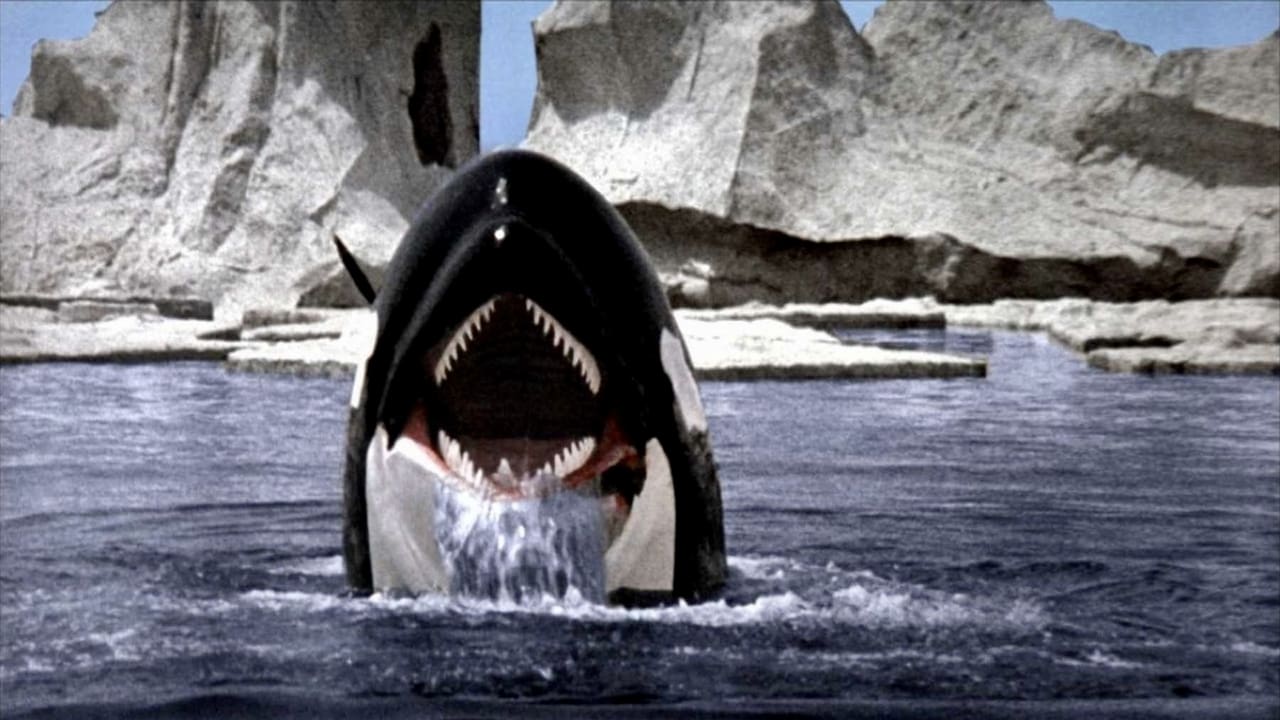 Orca (The Killer Whale)