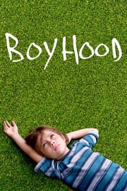 Boyhood Dutch  subtitles - SUBDL poster
