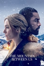 The Mountain Between Us Slovak  subtitles - SUBDL poster