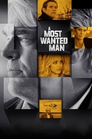 A Most Wanted Man Turkish  subtitles - SUBDL poster
