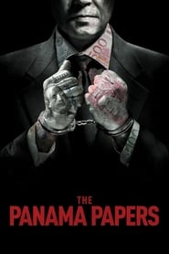 The Panama Papers (2018) subtitles - SUBDL poster