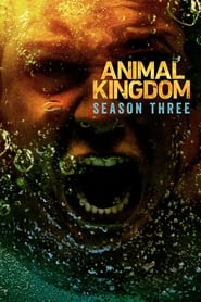 Animal Kingdom (2016) subtitles - SUBDL