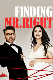 Finding Mr. Right English  subtitles - SUBDL poster