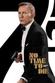 No Time to Die (2021) subtitles - SUBDL poster