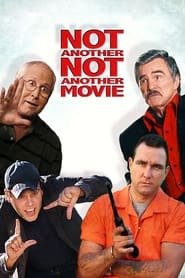Not Another Not Another Movie (2011) subtitles - SUBDL poster