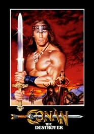 Conan the Destroyer (1984) subtitles - SUBDL poster