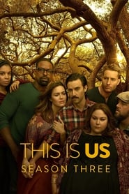 This Is Us (2016) subtitles - SUBDL poster