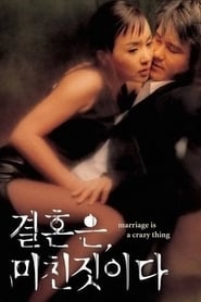 Marriage Is a Crazy Thing (Gyeolhoneun michinjishida) Korean  subtitles - SUBDL poster