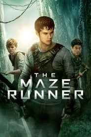 The Maze Runner Malay  subtitles - SUBDL poster