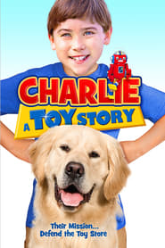 Charlie: A Toy Story English  subtitles - SUBDL poster