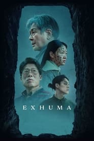 Exhuma (2024) subtitles - SUBDL poster