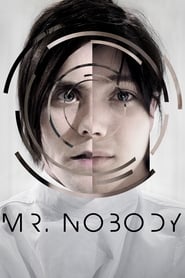 Mr. Nobody Dutch  subtitles - SUBDL poster