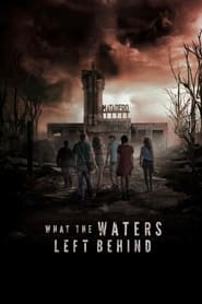 What the Waters Left Behind Korean  subtitles - SUBDL poster