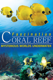 Fascination Coral Reef: Mysterious Worlds Underwater French  subtitles - SUBDL poster