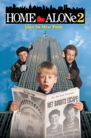 Home Alone 2 - Lost in New York Finnish  subtitles - SUBDL poster