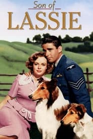 Son of Lassie Danish  subtitles - SUBDL poster