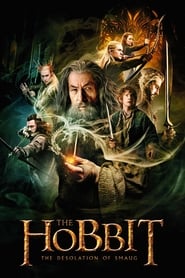The Hobbit: The Desolation of Smaug (2013) subtitles - SUBDL poster