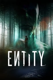Entity (2012) subtitles - SUBDL poster