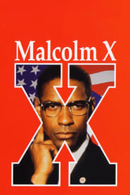 Malcolm X (1992) subtitles - SUBDL poster